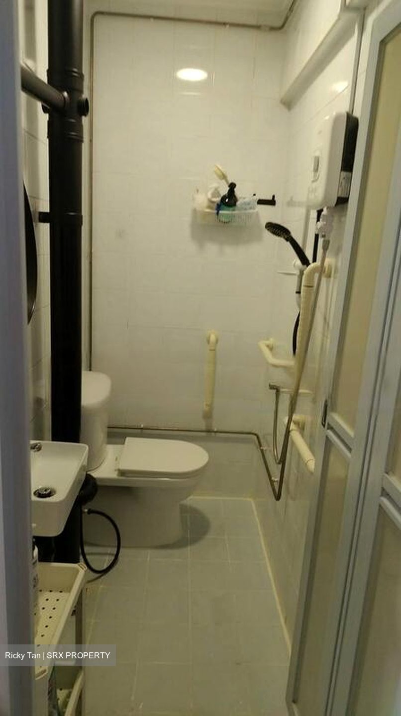 Blk 95 Toa Payoh Palm Spring (Toa Payoh), HDB 3 Rooms #447509111
